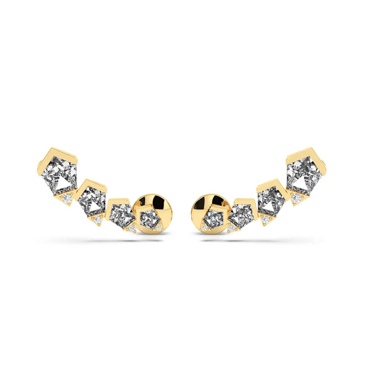 Shield Climber Earrings